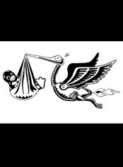 emek x: robot stork, penguin