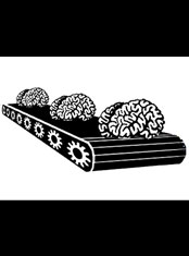 emek x: wired magazine, brain factory