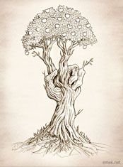 emek x: peace tree sketch