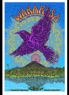 Emek Studios: Wakarusa Music Festival 2010