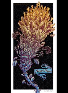 Emek Studios: Foster The People 2011