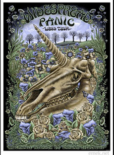 Emek Studios: Widespread Panic Wood Tour 2012