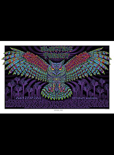 Emek Studios: Electric Forest
