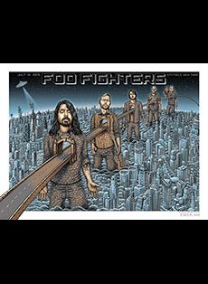 Emek Studios: Foo Fighters at citi field new york 