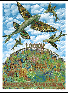 Emek Studios: Lockn Fest (formerly Interlockn Fest) 2016