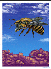 emek x: nuclear bee in glow-in-dark
