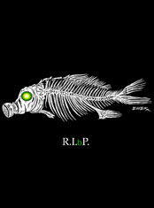 emek x: pb fish
