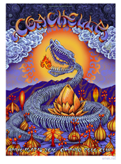 emek x: coachella 2010... snake