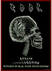emek x: tool "x-ray skull"