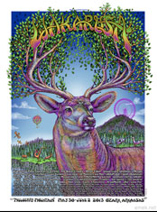 emek x:  wakarusa music fest 2013 at mulberry mountain